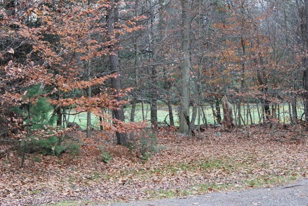 Luxury 4 Bedroom House In Pocono Mountains In Golf Course Near Lake Tobyhanna Eksteriør billede